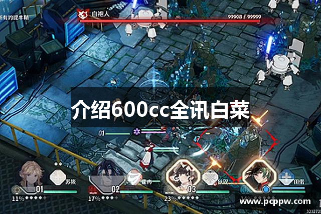 介绍600cc全讯白菜